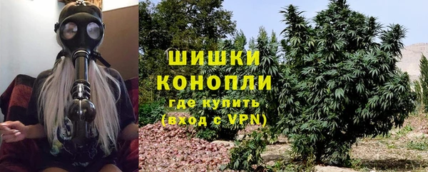 spice Вяземский