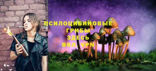 MDMA Вязьма