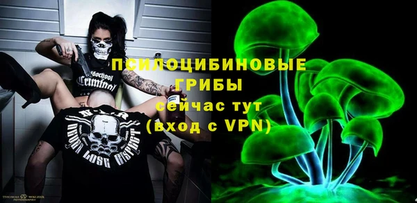 spice Вяземский