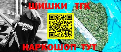 тгк Камышлов