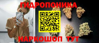 тгк Камышлов