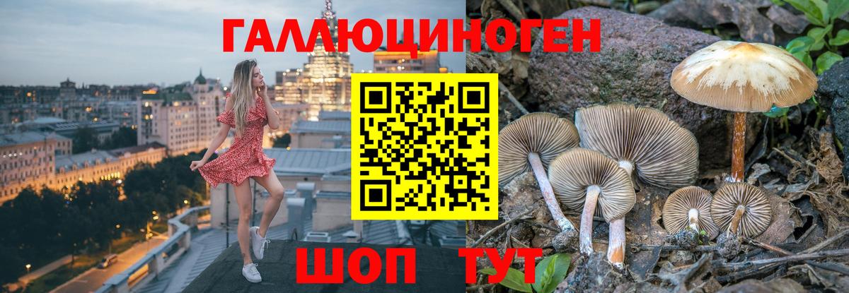Псилоцибиновые грибы Magic Shrooms Ноябрьск