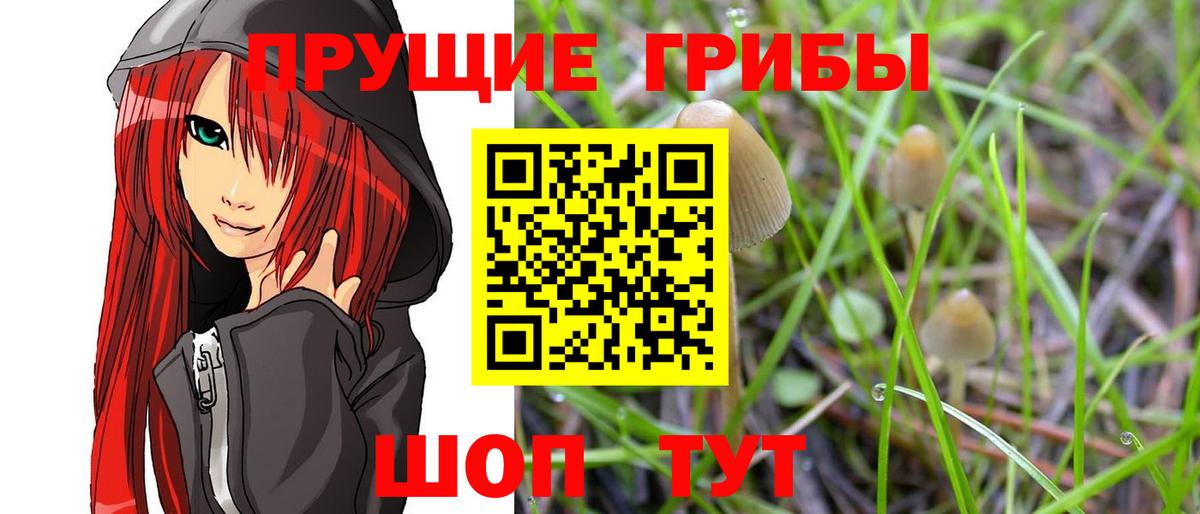 Альфа ПВП Ноябрьск
