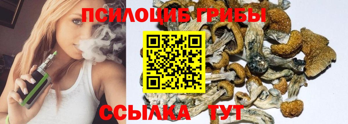 Псилоцибиновые грибы MAGIC MUSHROOMS  Вход с VPN  Ноябрьск 