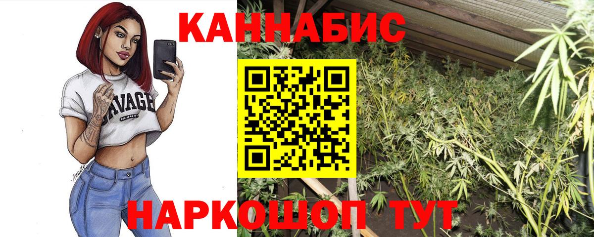 Канабис VHQ Ноябрьск